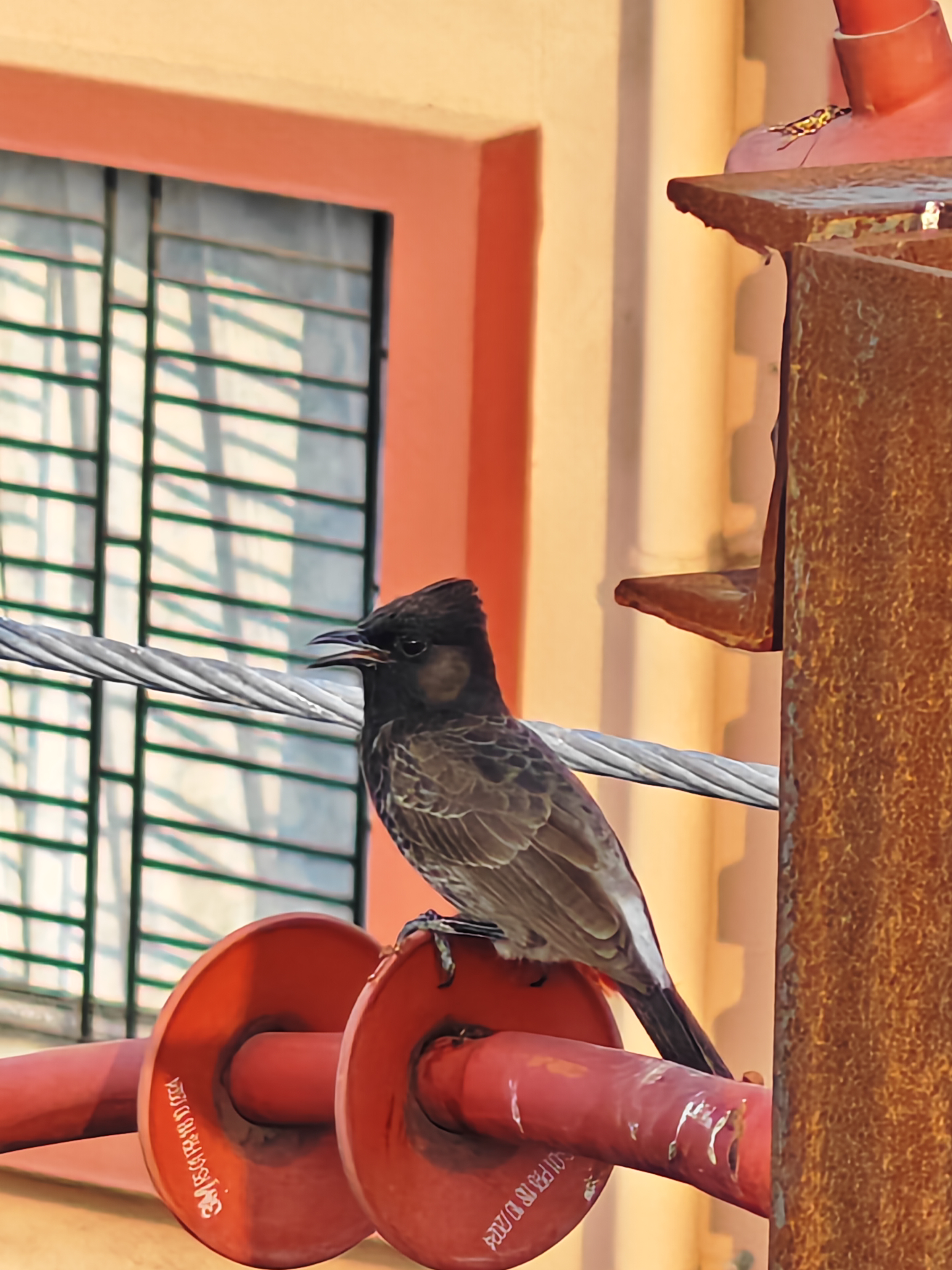 Photography by Sushovan