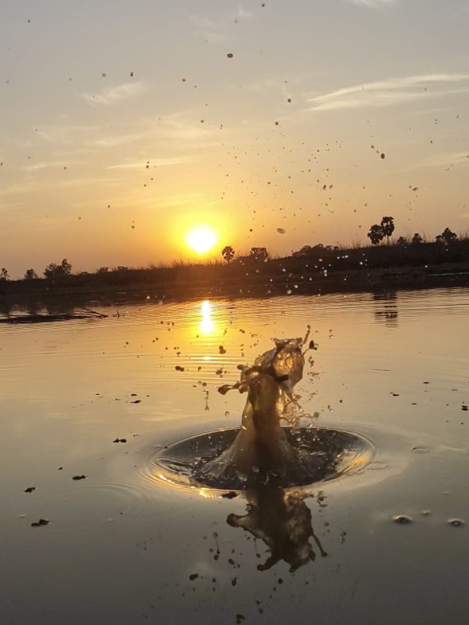 Photography by Sushovan