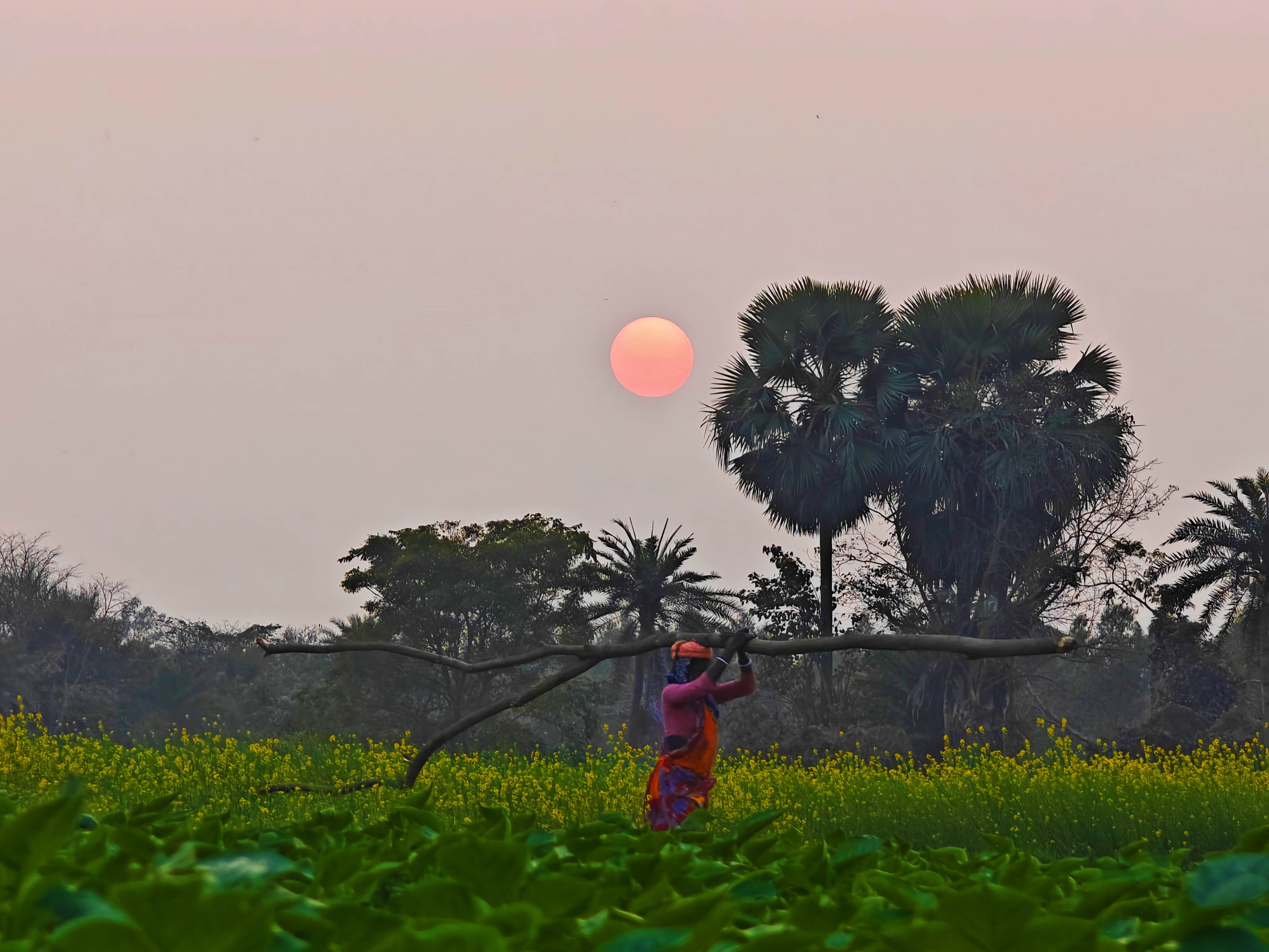 Photography by Sushovan